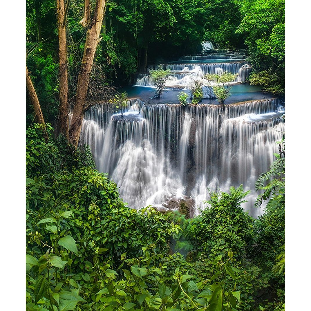 Lush Cascades: Forest Waterfall Wall Mural