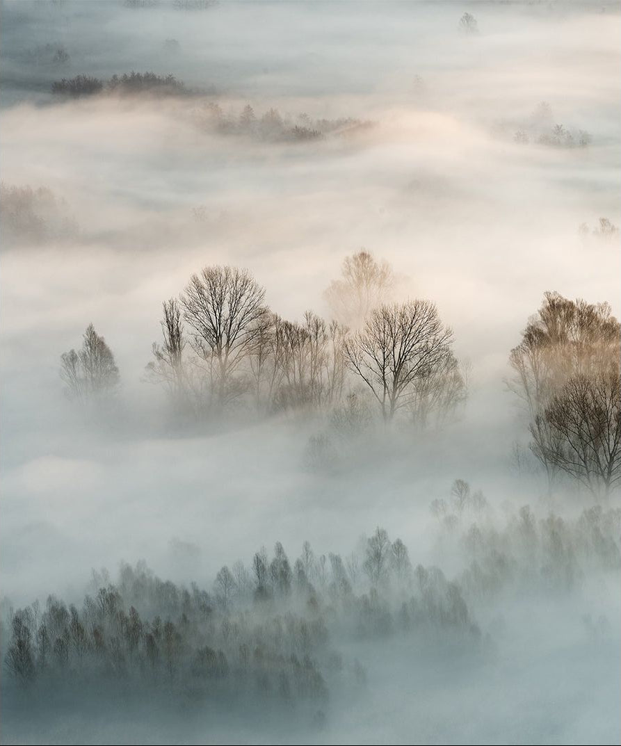 Mystical Mist Wall Mural: Fog Over Mountains and Forest