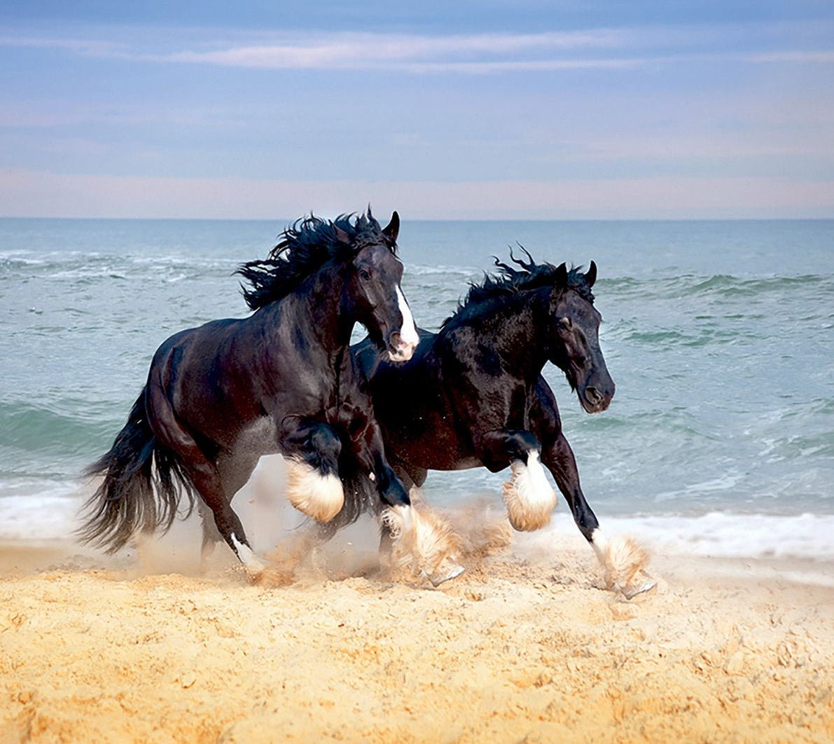 Coastal Gallop: Majestic Horses Beach Run Wall Mural