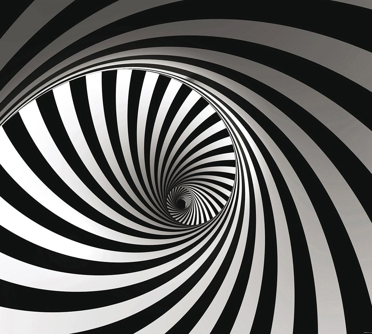 Enigmatic Elegance: Black & White Spiral Wall Mural