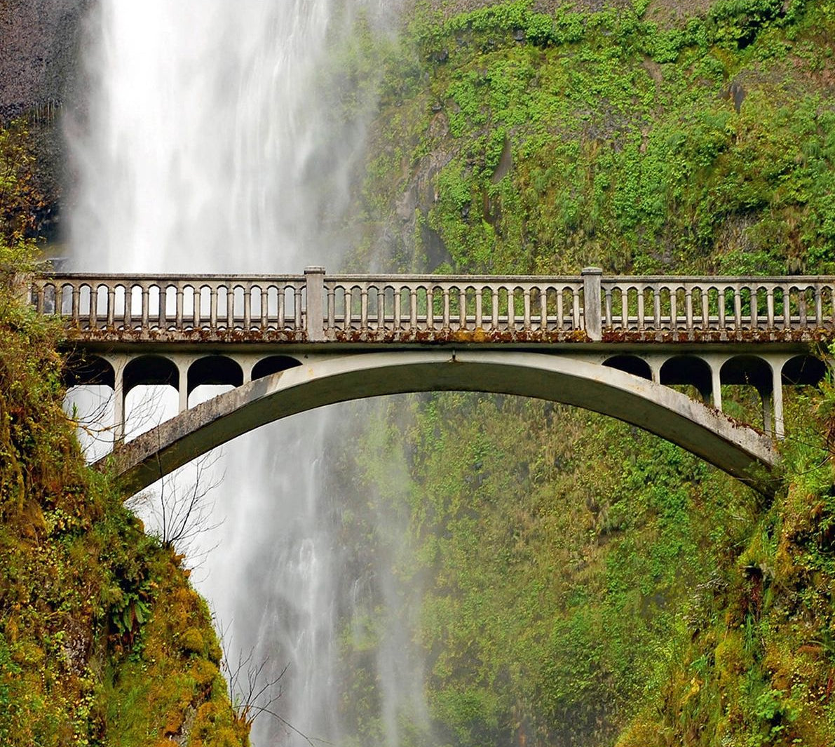 Tranquil Forest Bridge Wall Mural: Embrace Nature's Beauty