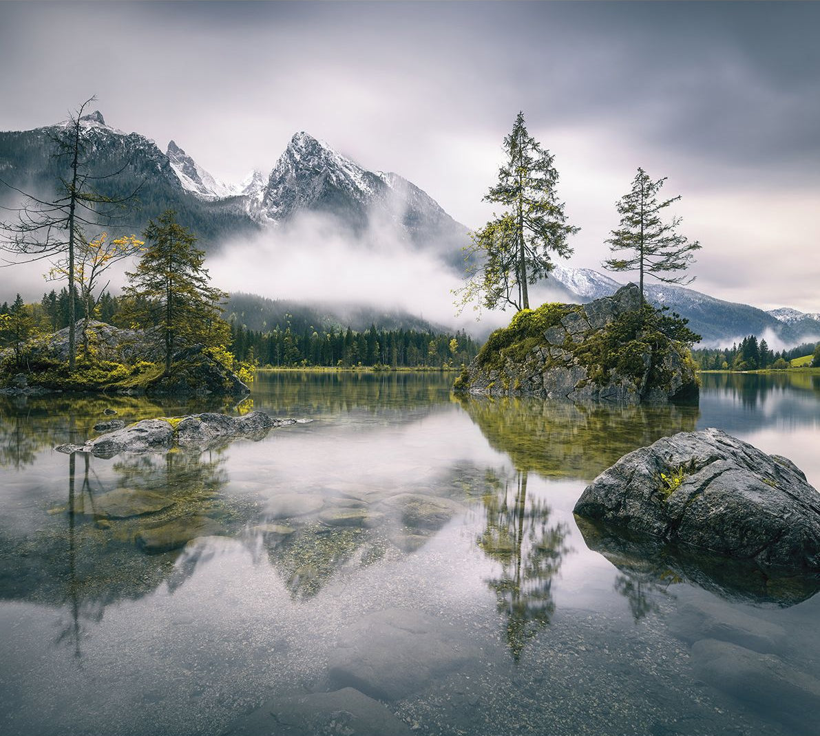 Enchanting Mist: Water, Fog, Trees, and Mountains Wall Mural