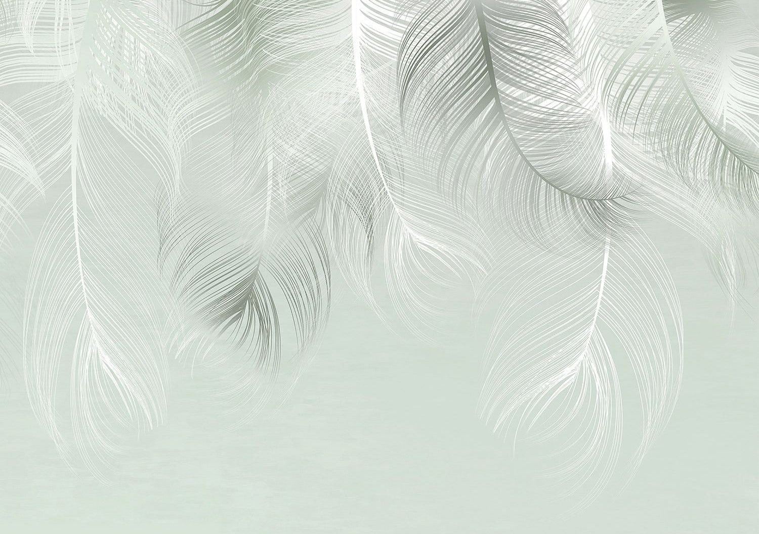Sublime Feathers: Greenish Gray Harmony Wall Mural