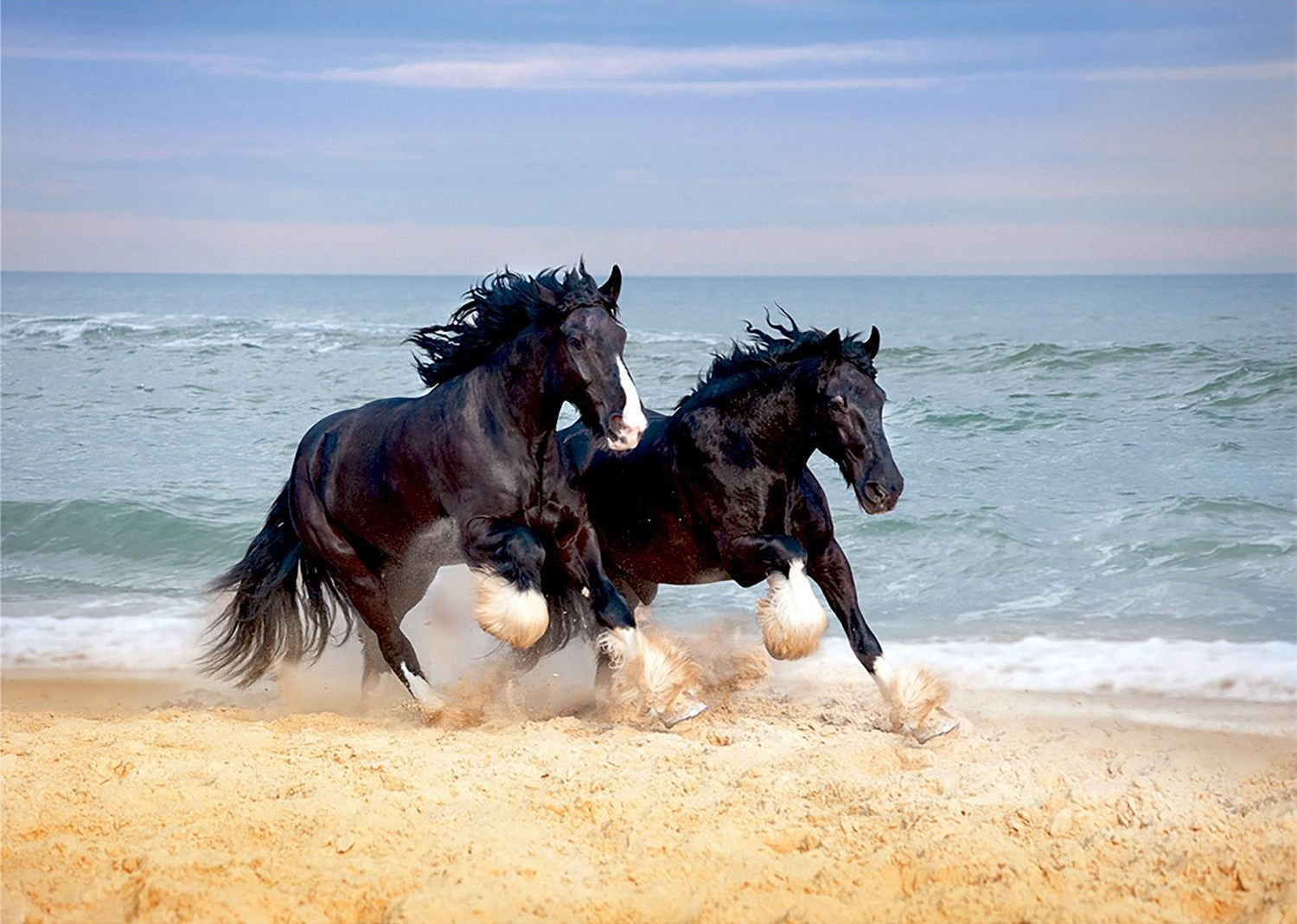 Coastal Gallop: Majestic Horses Beach Run Wall Mural