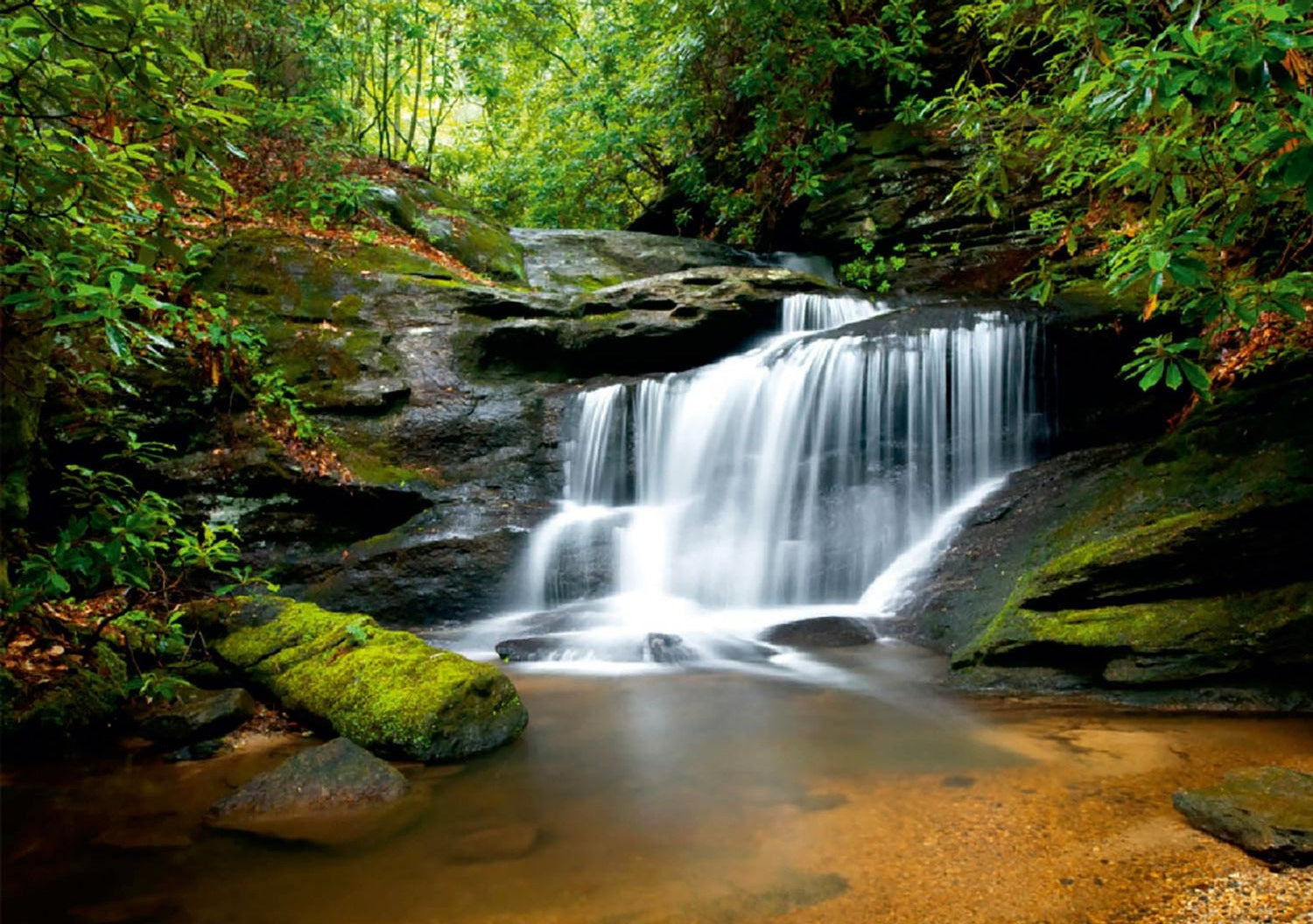 Leafy Cascade: Waterfall Wall Mural