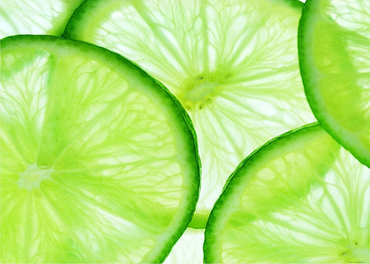 Fresh Citrus Slice: Vibrant Lemon Wall Mural