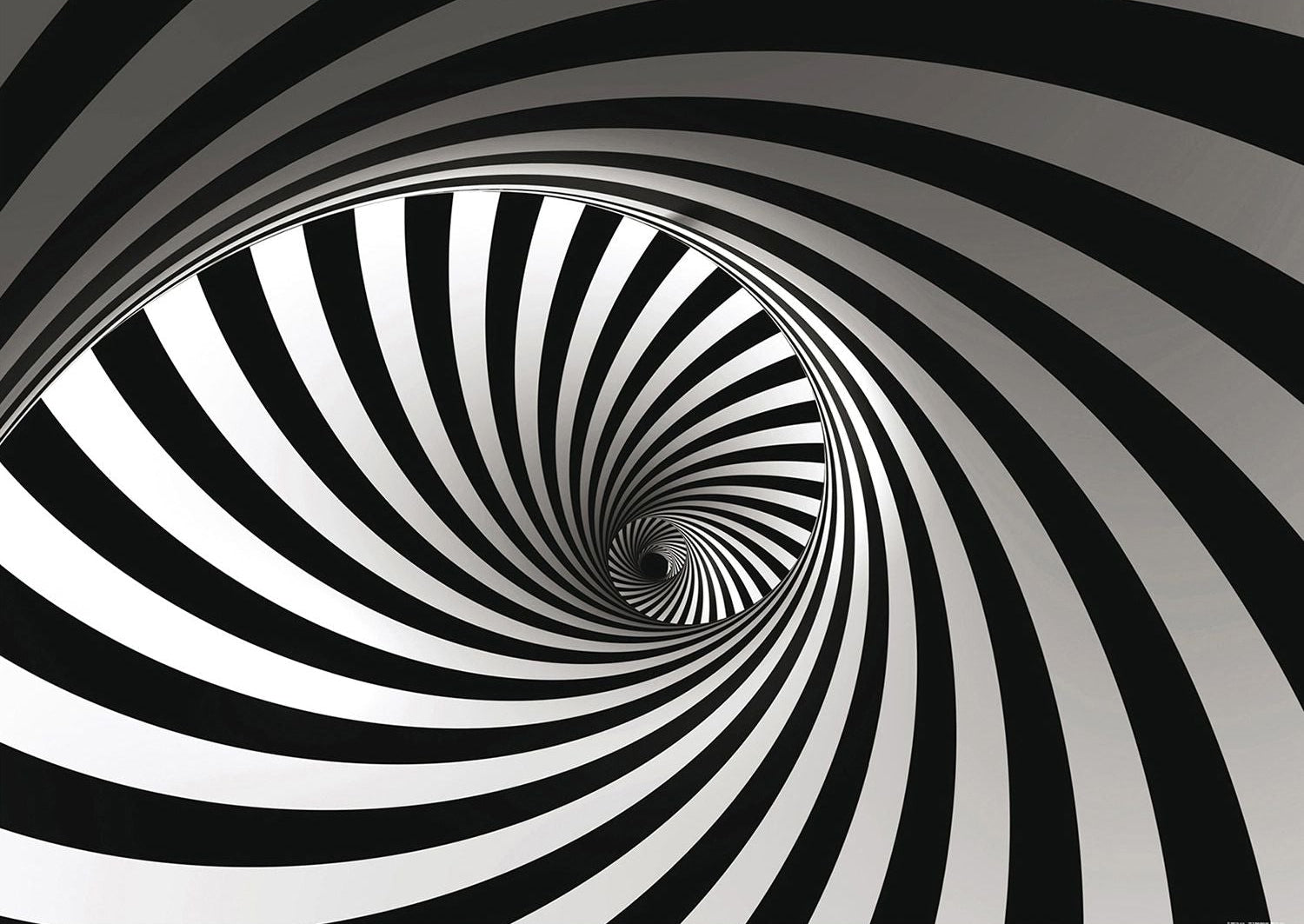Enigmatic Elegance: Black & White Spiral Wall Mural