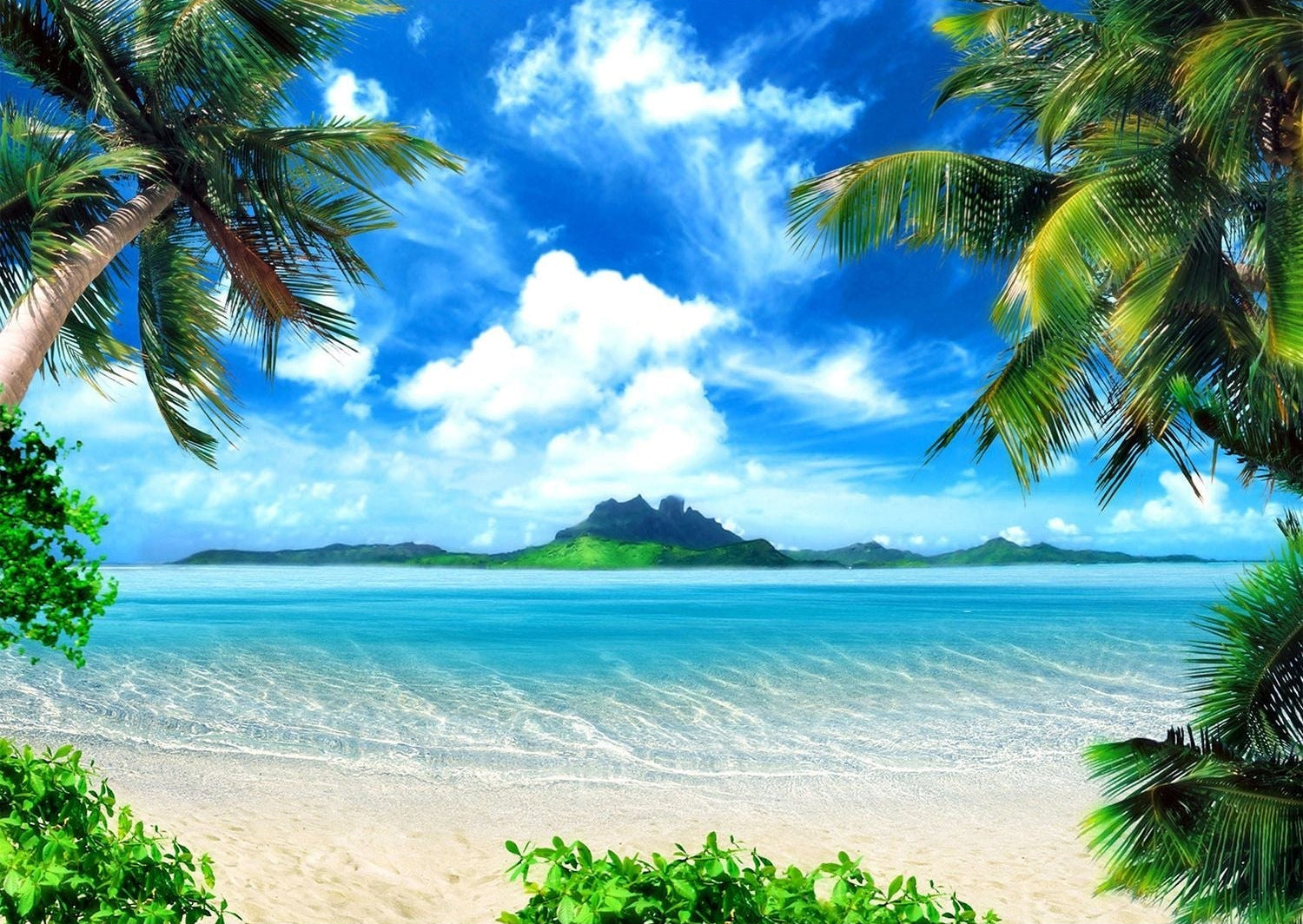Eternal Summer Wall Mural: Palm Paradise and Ocean Bliss