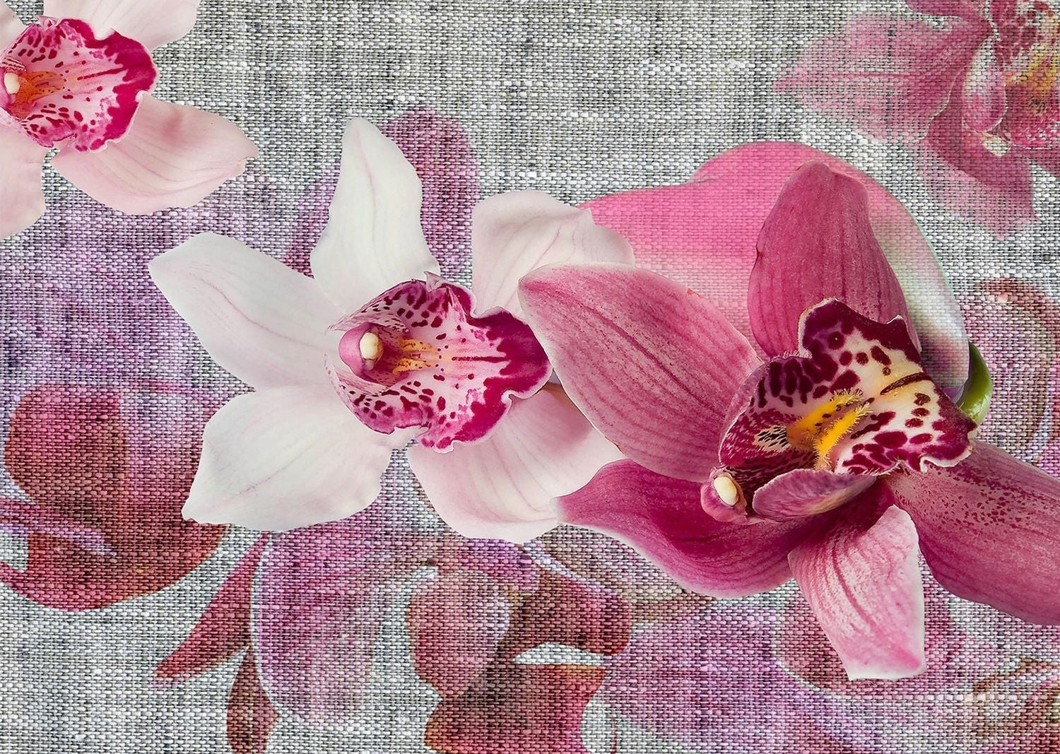 Orchid Elegance: A Tapestry of Floral Splendor Wall Mural