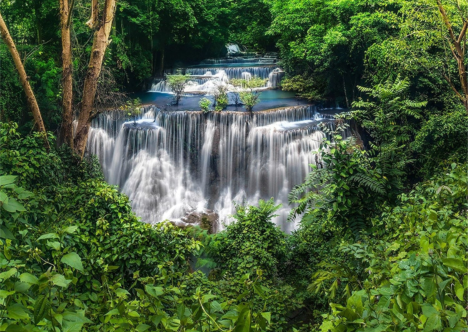 Lush Cascades: Forest Waterfall Wall Mural