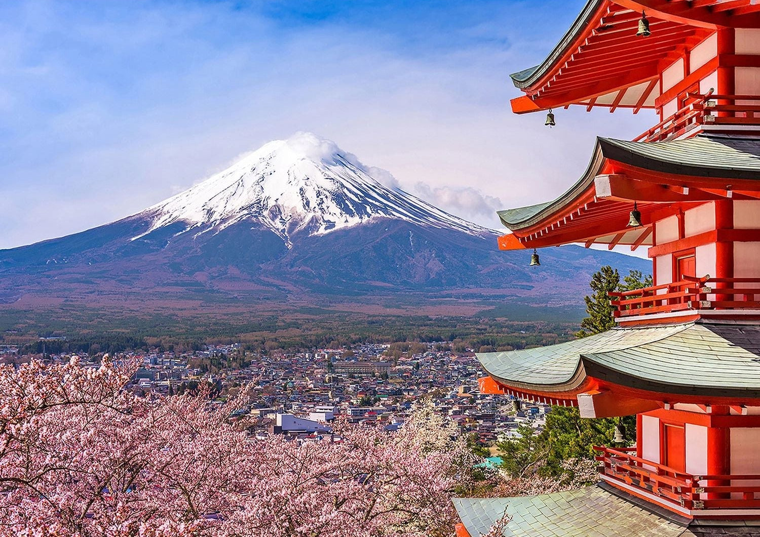 Peak Serenity: Mount Fuji and Cherry Blossoms Wall Mural