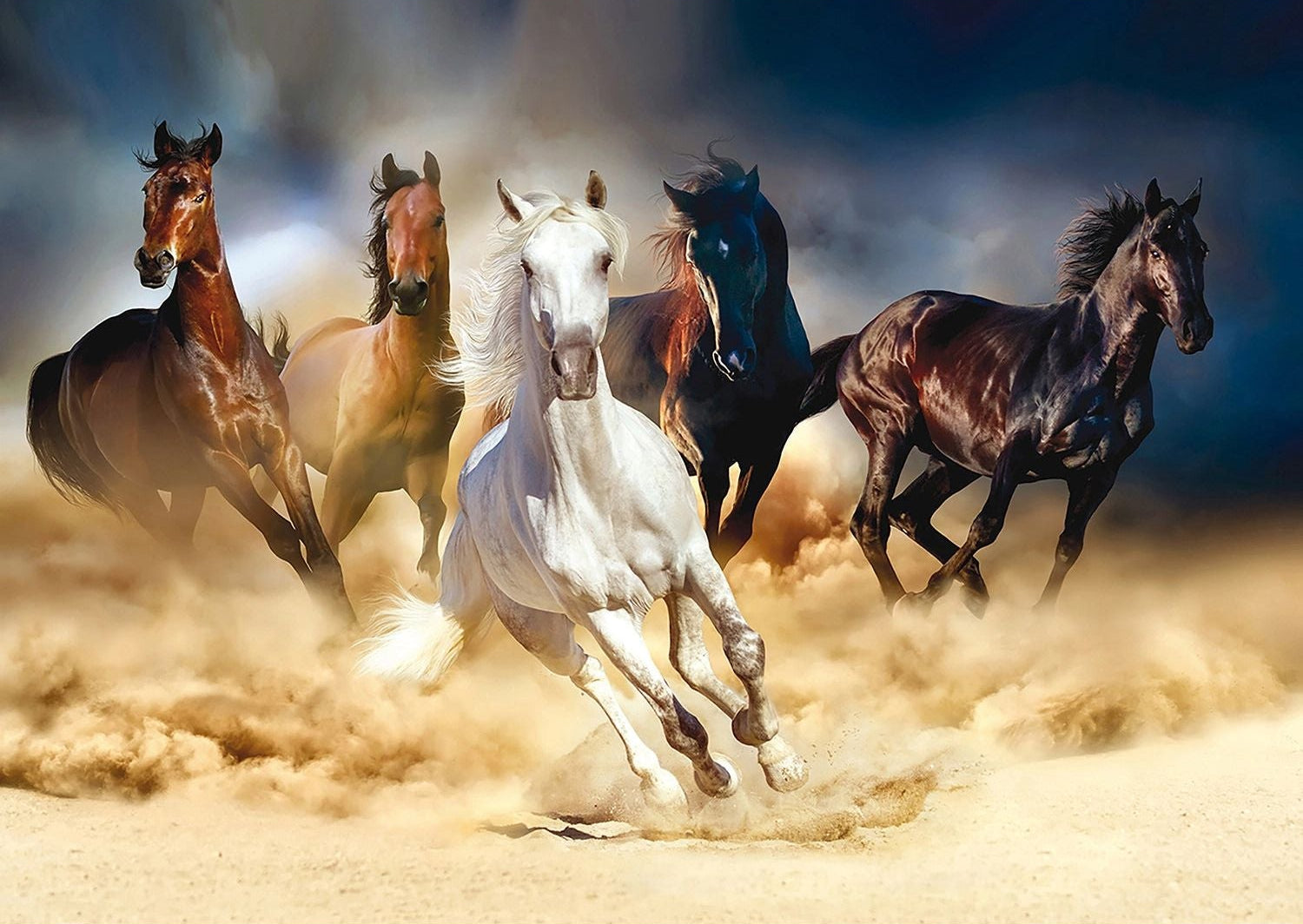 Wild Sprint: The Freedom of Horses Wall Mural