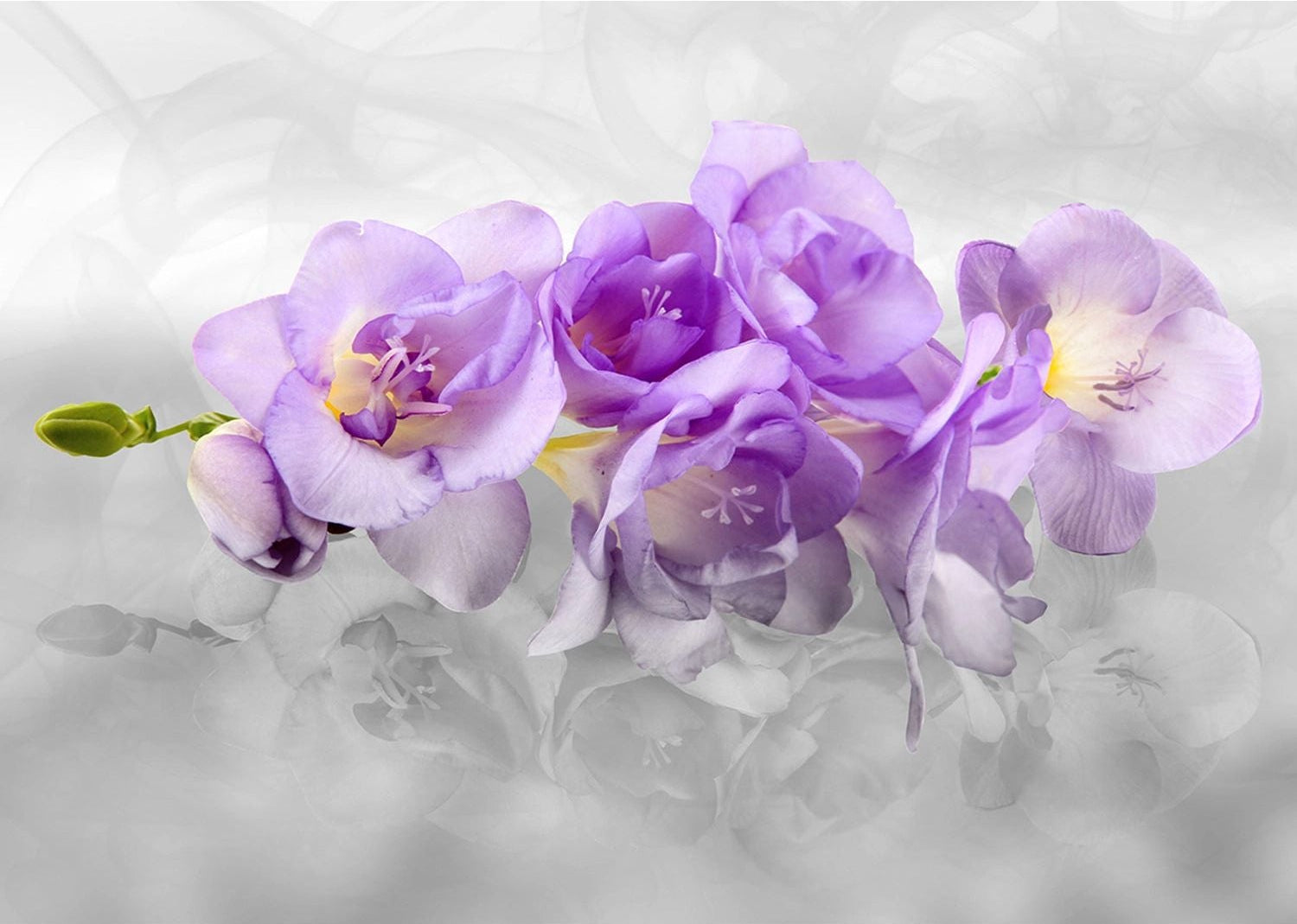 Serene Florals: Purple Bloom Wall Mural