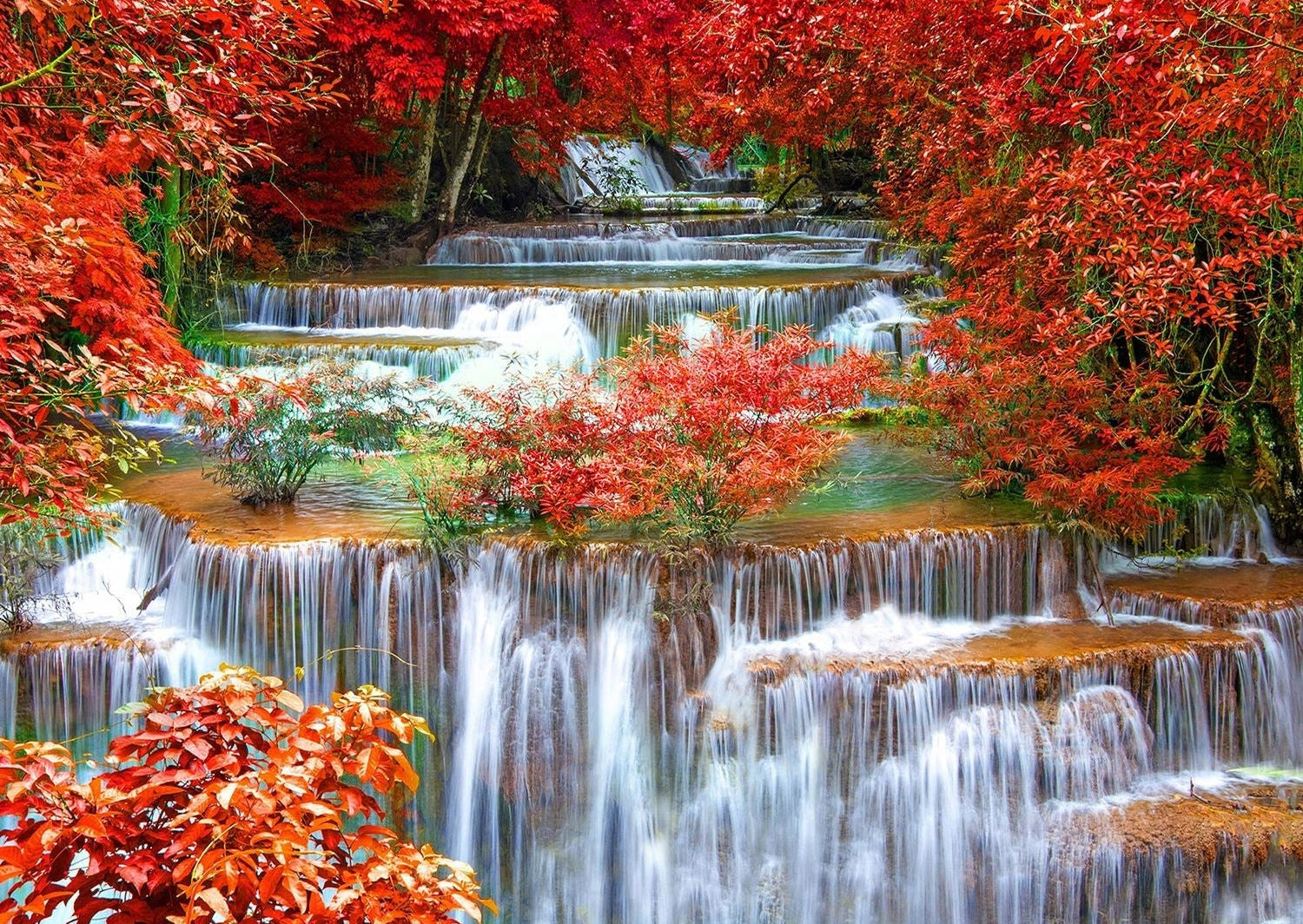 Fall's Serenade: Waterfall in Autumn Splendor Wall Mural