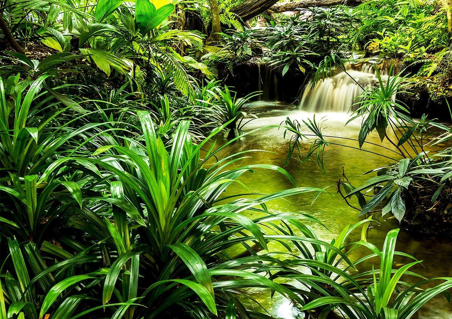 Jungle Serenity: Tropical Waterfall Oasis Wall Mural