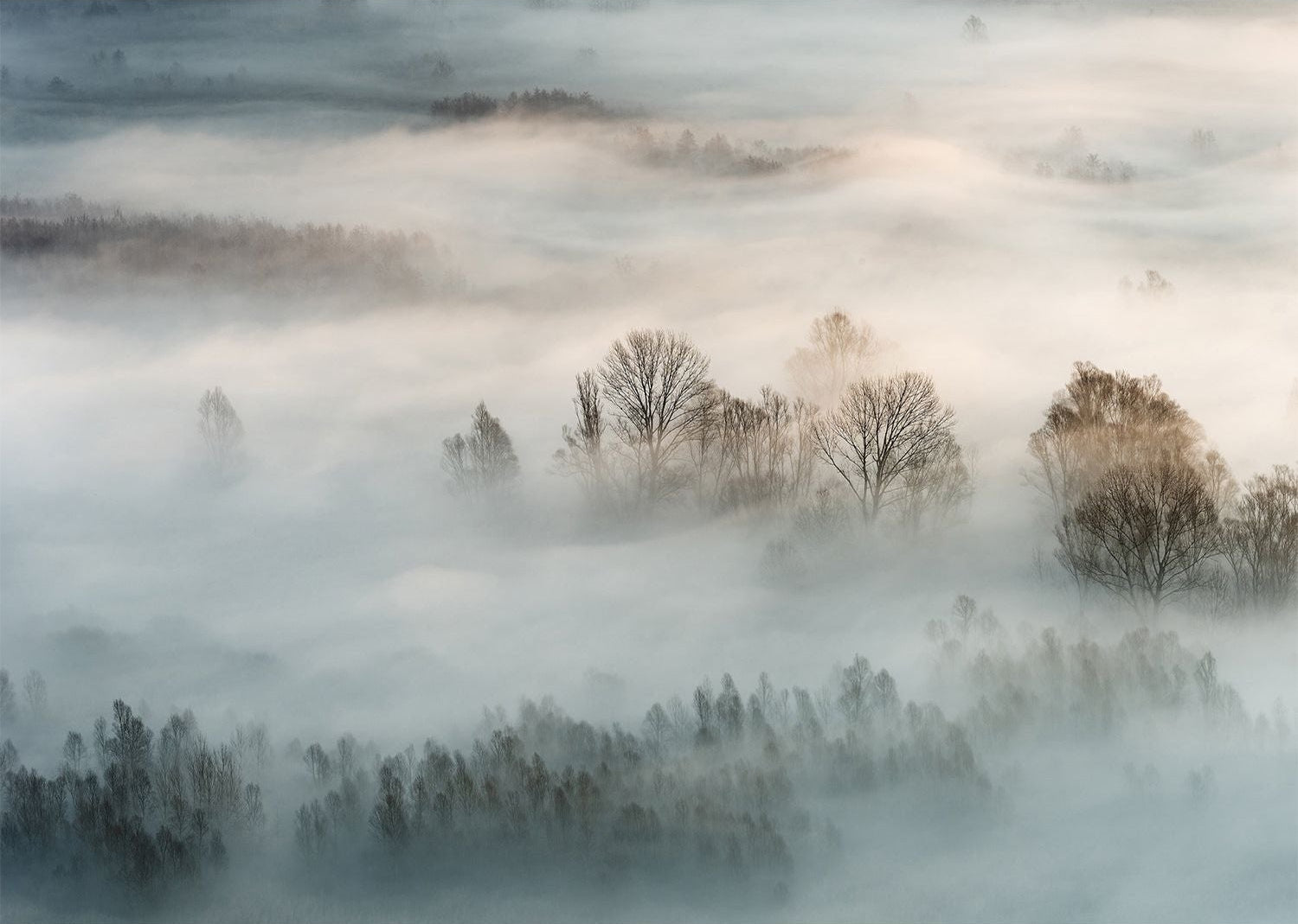 Mystical Mist Wall Mural: Fog Over Mountains and Forest