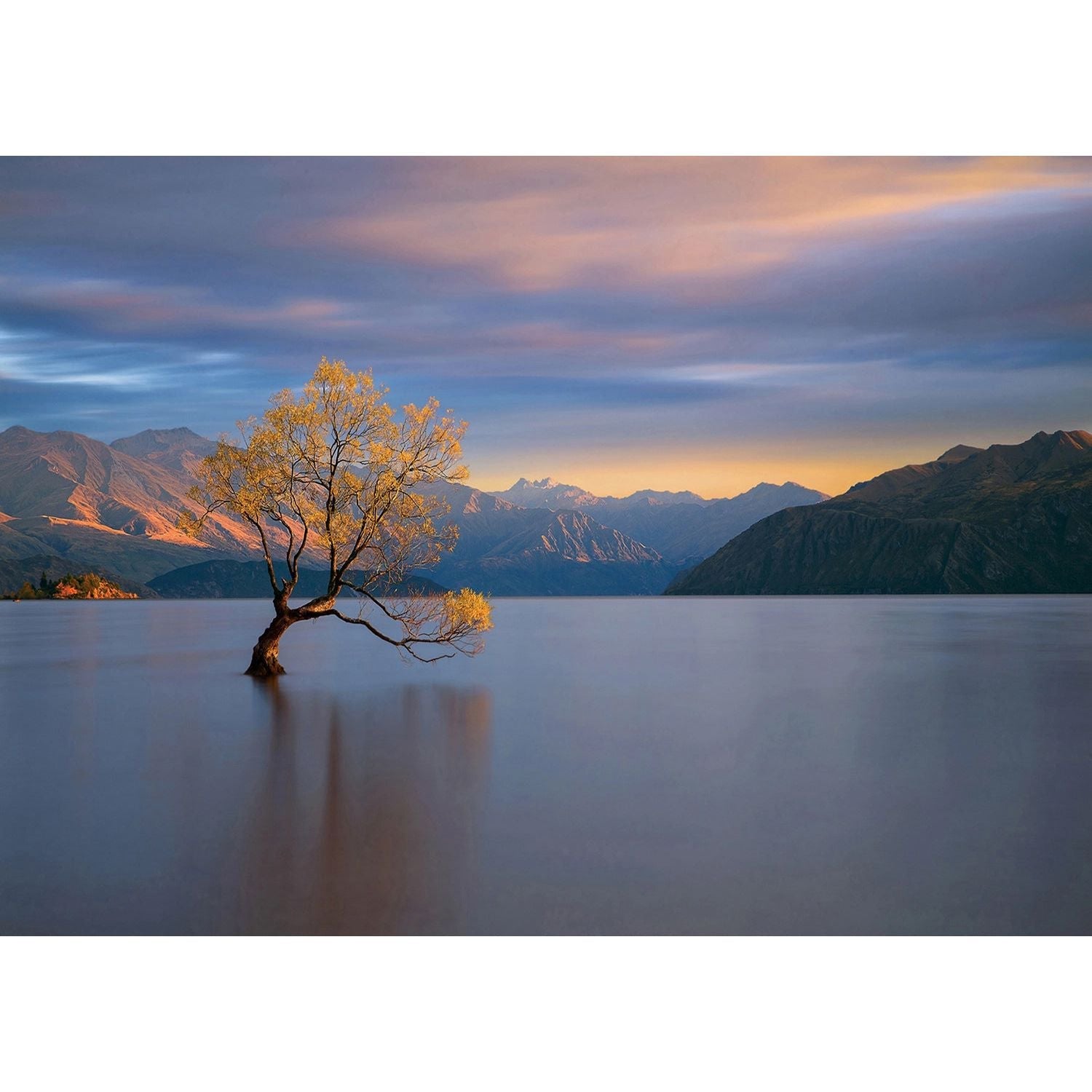 Twilight Solace Tree Wall Mural