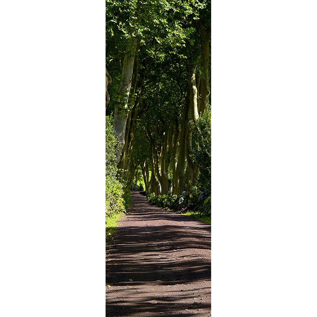 Woodland Journey: Forest Road Centerpiece Wall Mural