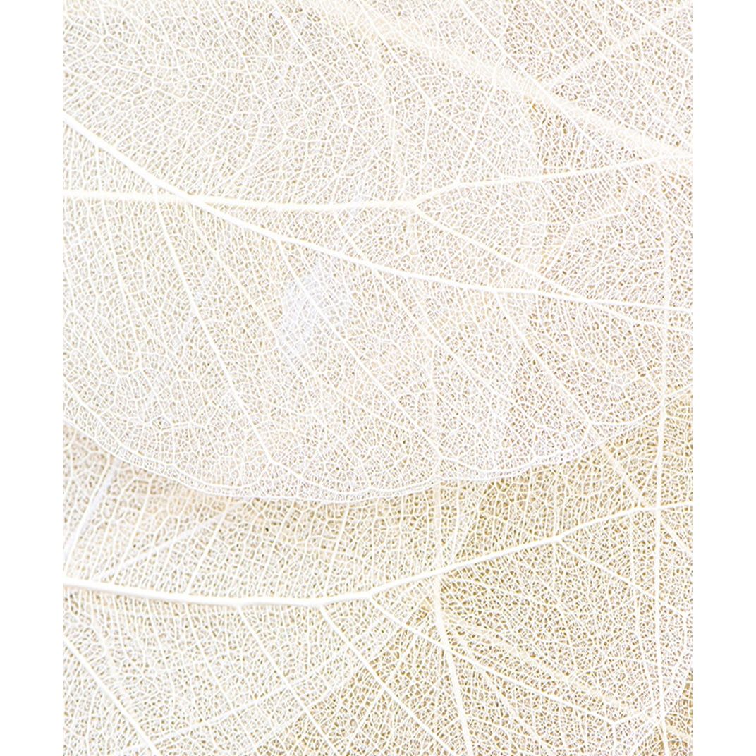 Cream Leaf Strings Wall Mural: Nature's Elegance
