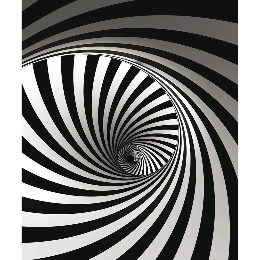 Enigmatic Elegance: Black & White Spiral Wall Mural