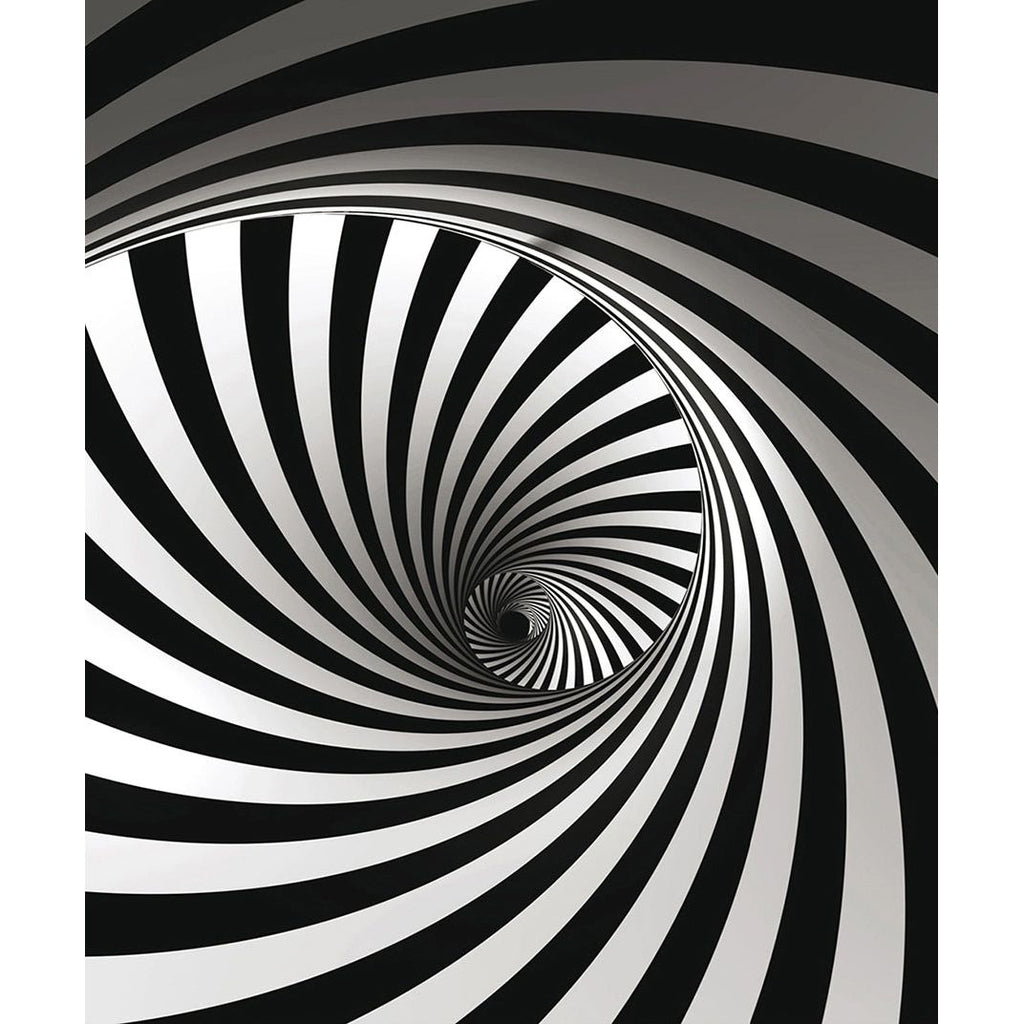 Enigmatic Elegance: Black & White Spiral Wall Mural
