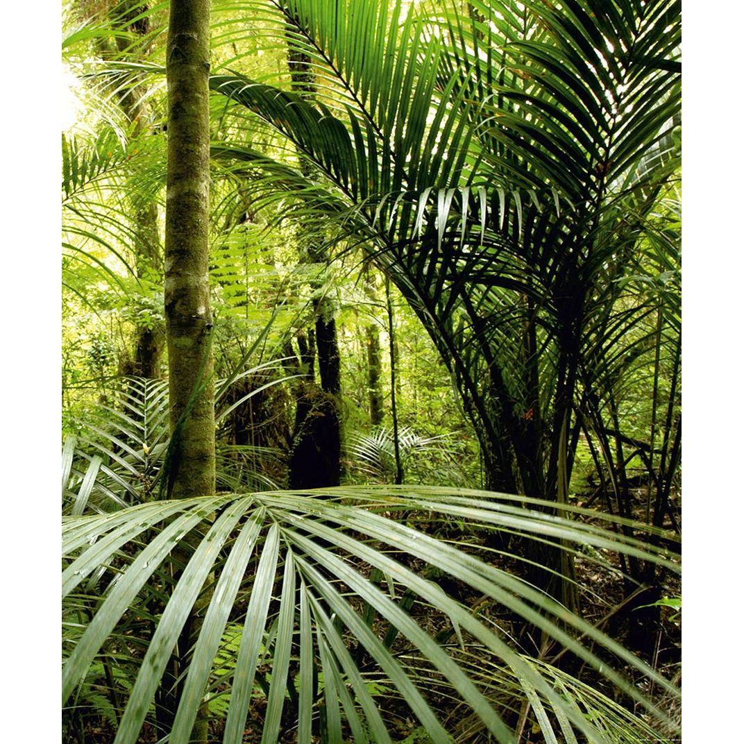 Verdant Canopy: Forest with Green Leafs Wall Mural