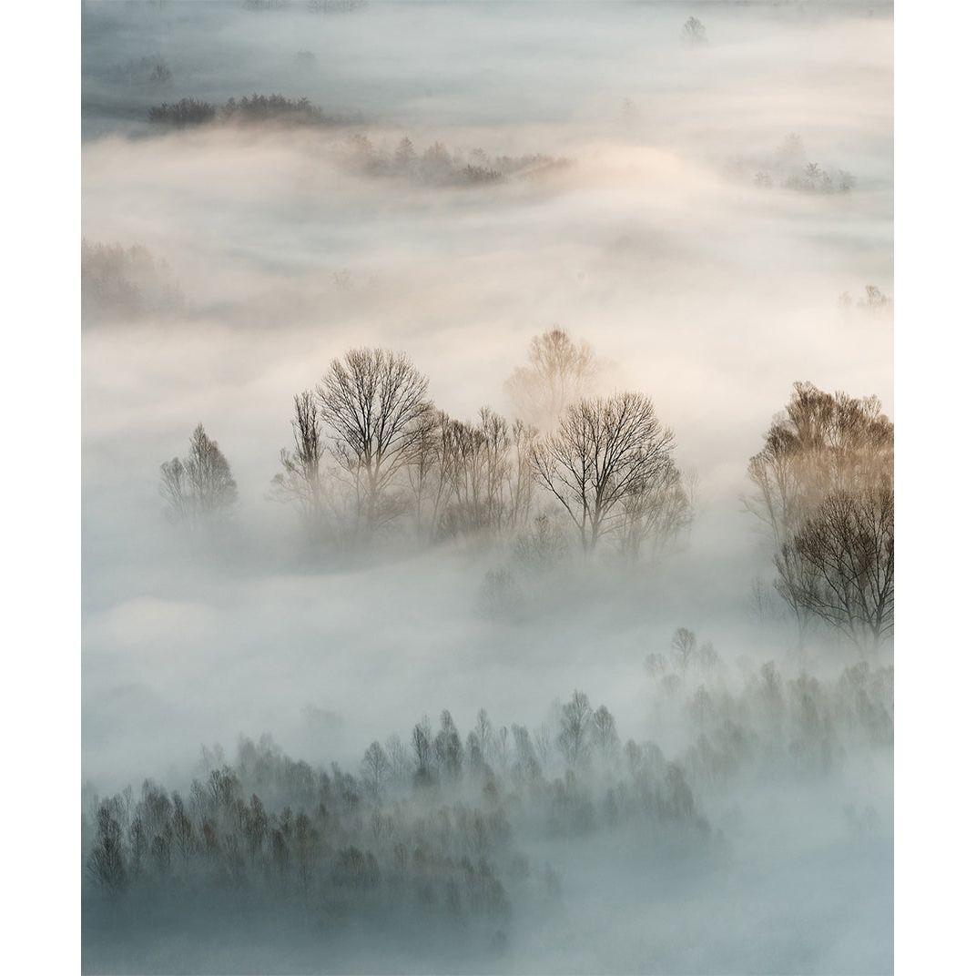 Mystical Mist Wall Mural: Fog Over Mountains and Forest