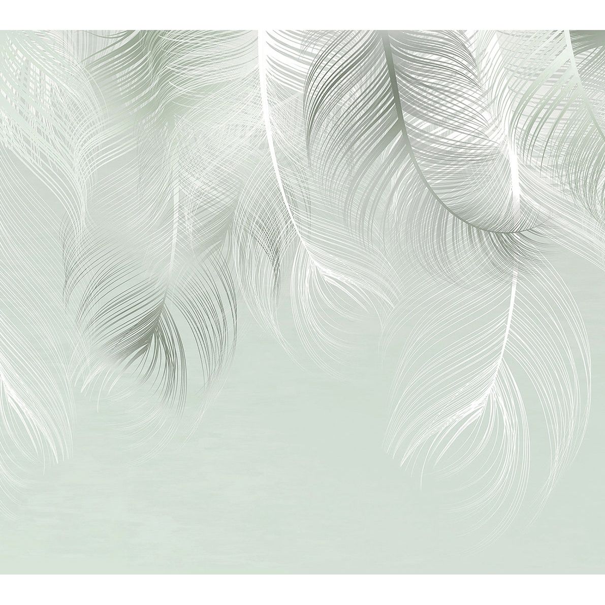 Sublime Feathers: Greenish Gray Harmony Wall Mural