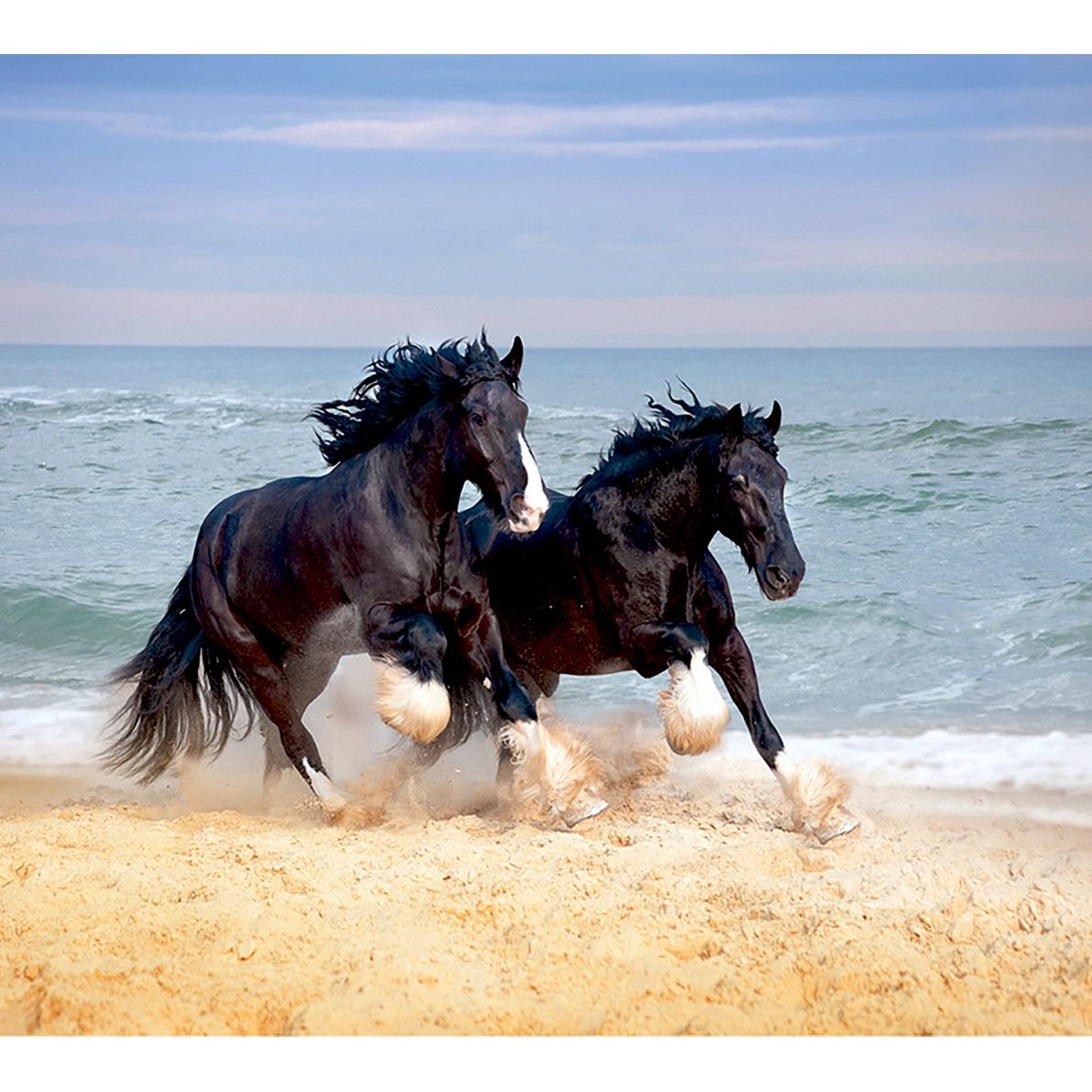 Coastal Gallop: Majestic Horses Beach Run Wall Mural
