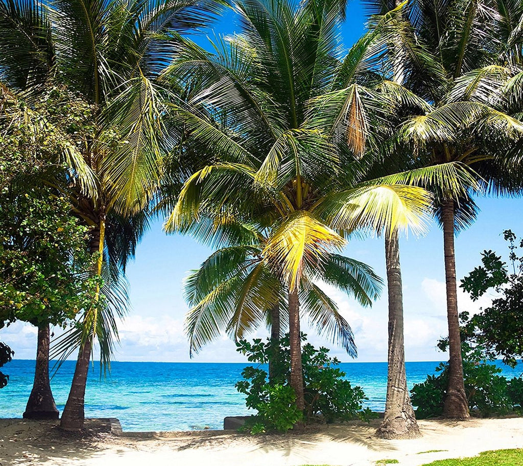 Tropical Paradise: Palm Trees, Sea, and Sand Wall Mural