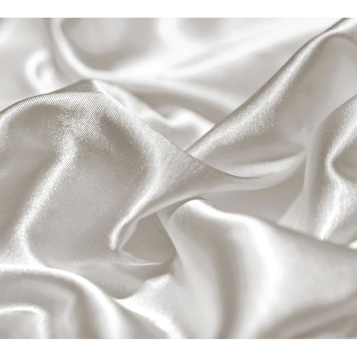Wave Map: Captivating Wall Mural Design