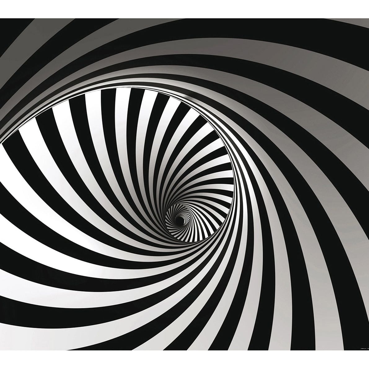 Enigmatic Elegance: Black & White Spiral Wall Mural