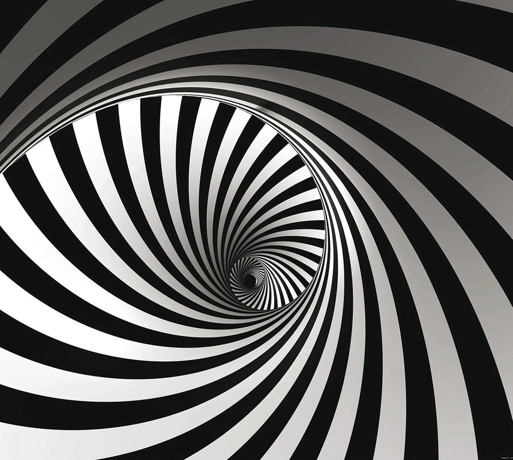 Enigmatic Elegance: Black & White Spiral Wall Mural