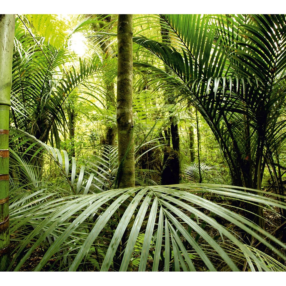 Verdant Canopy: Forest with Green Leafs Wall Mural