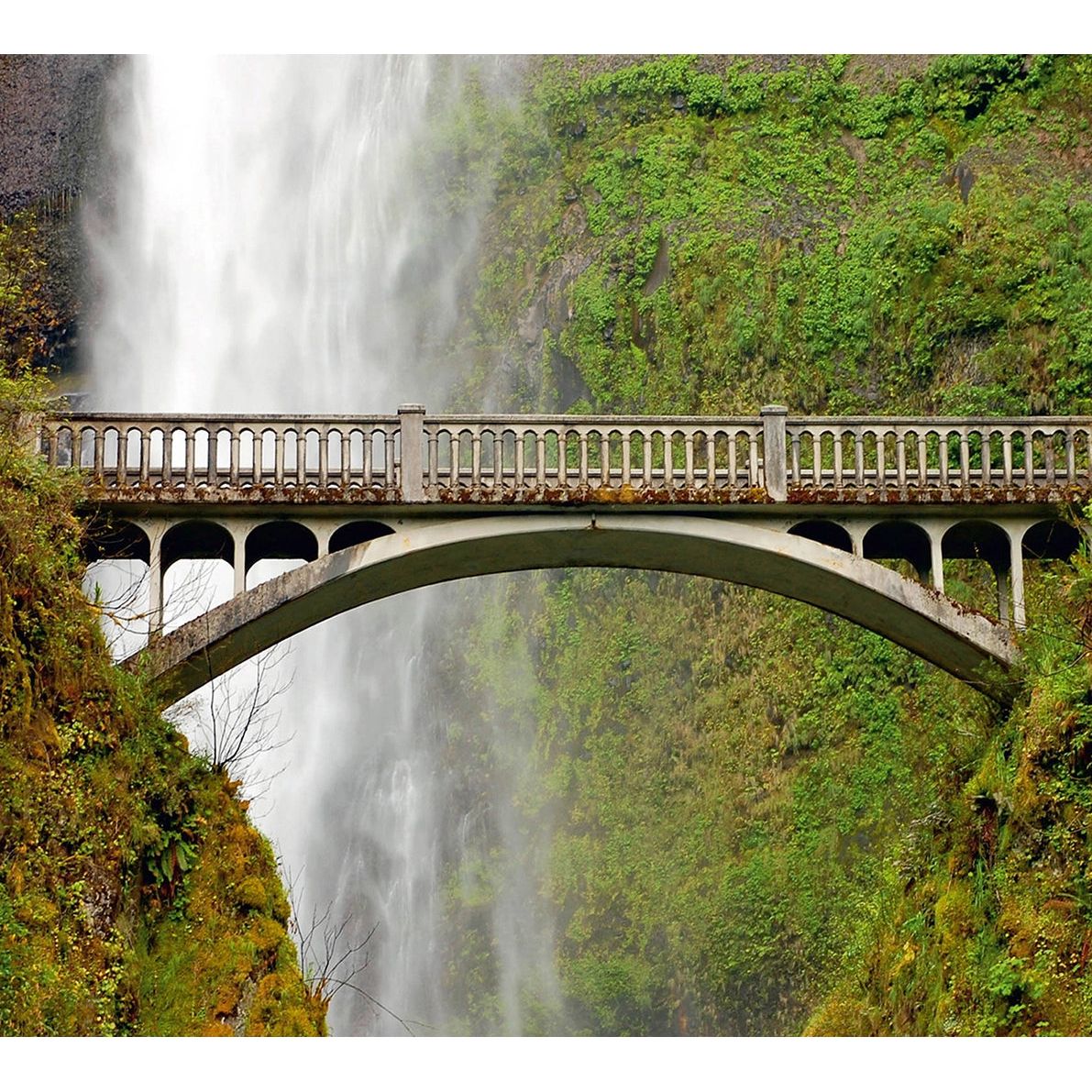 Tranquil Forest Bridge Wall Mural: Embrace Nature's Beauty