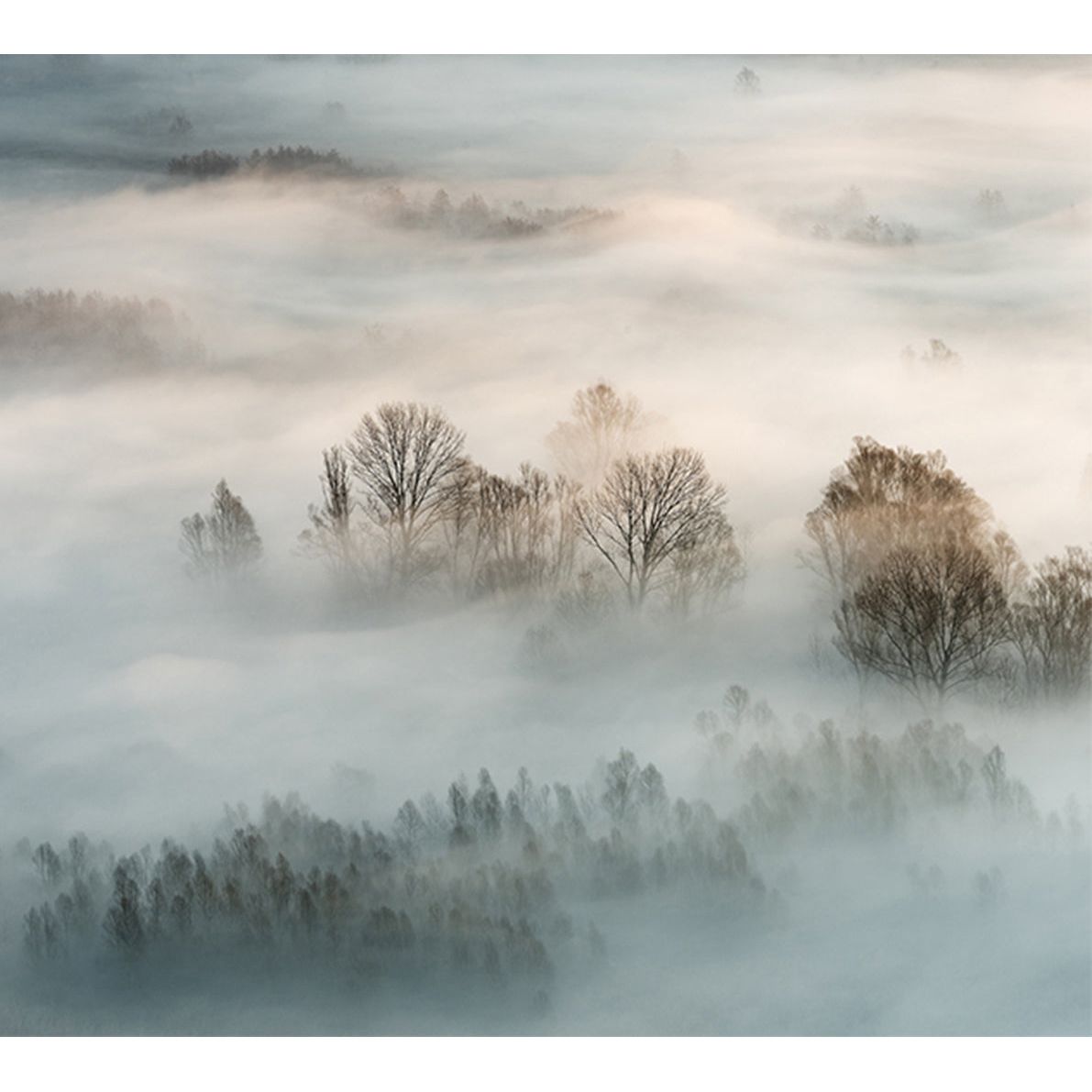 Mystical Mist Wall Mural: Fog Over Mountains and Forest