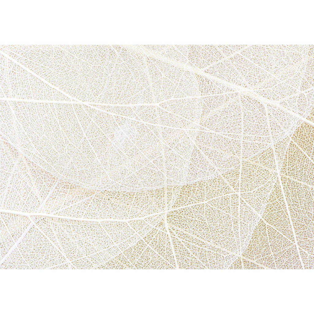 Cream Leaf Strings Wall Mural: Nature's Elegance