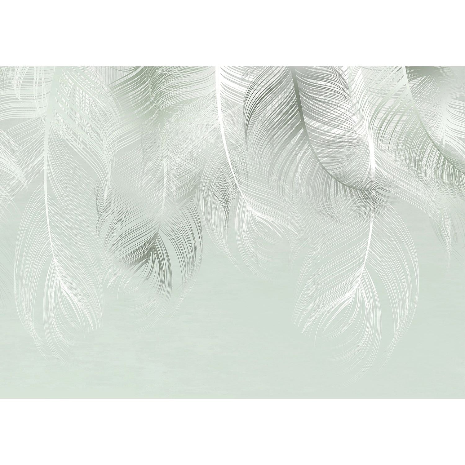 Sublime Feathers: Greenish Gray Harmony Wall Mural