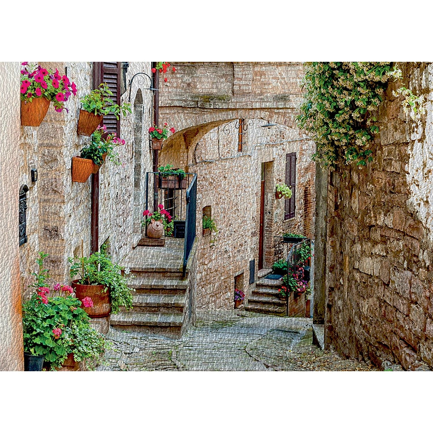 Vintage Brick City Charm: Floral Walls & Stairs Wall Mural