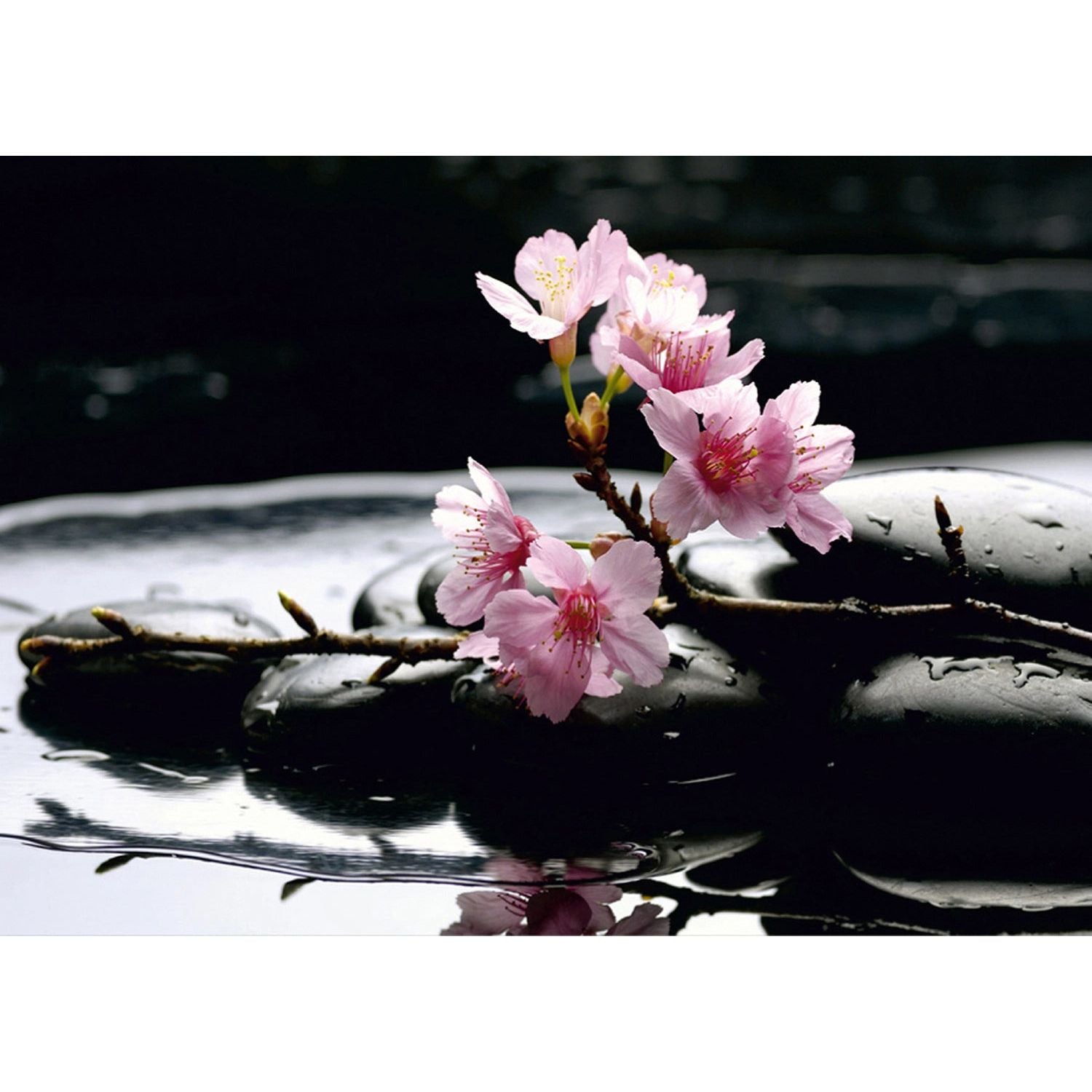 Pink Blossoms Over Water: Floral Wall Mural