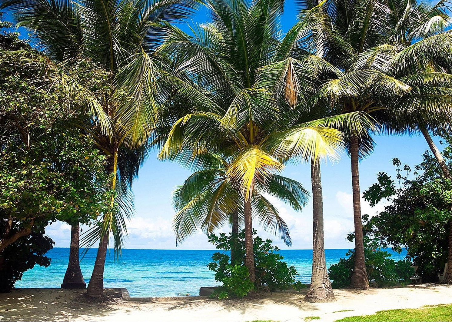 Tropical Paradise: Palm Trees, Sea, and Sand Wall Mural