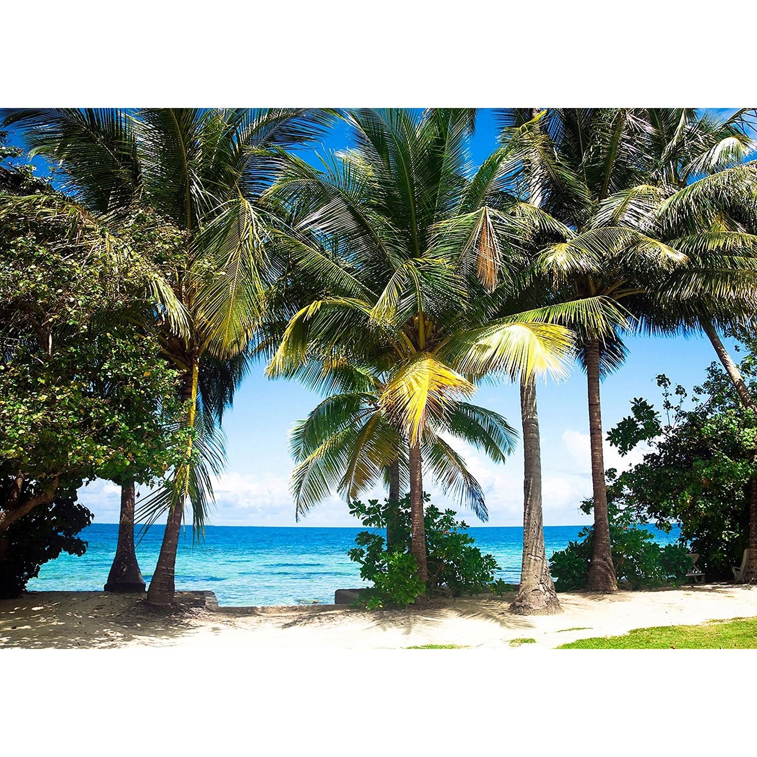 Tropical Paradise: Palm Trees, Sea, and Sand Wall Mural