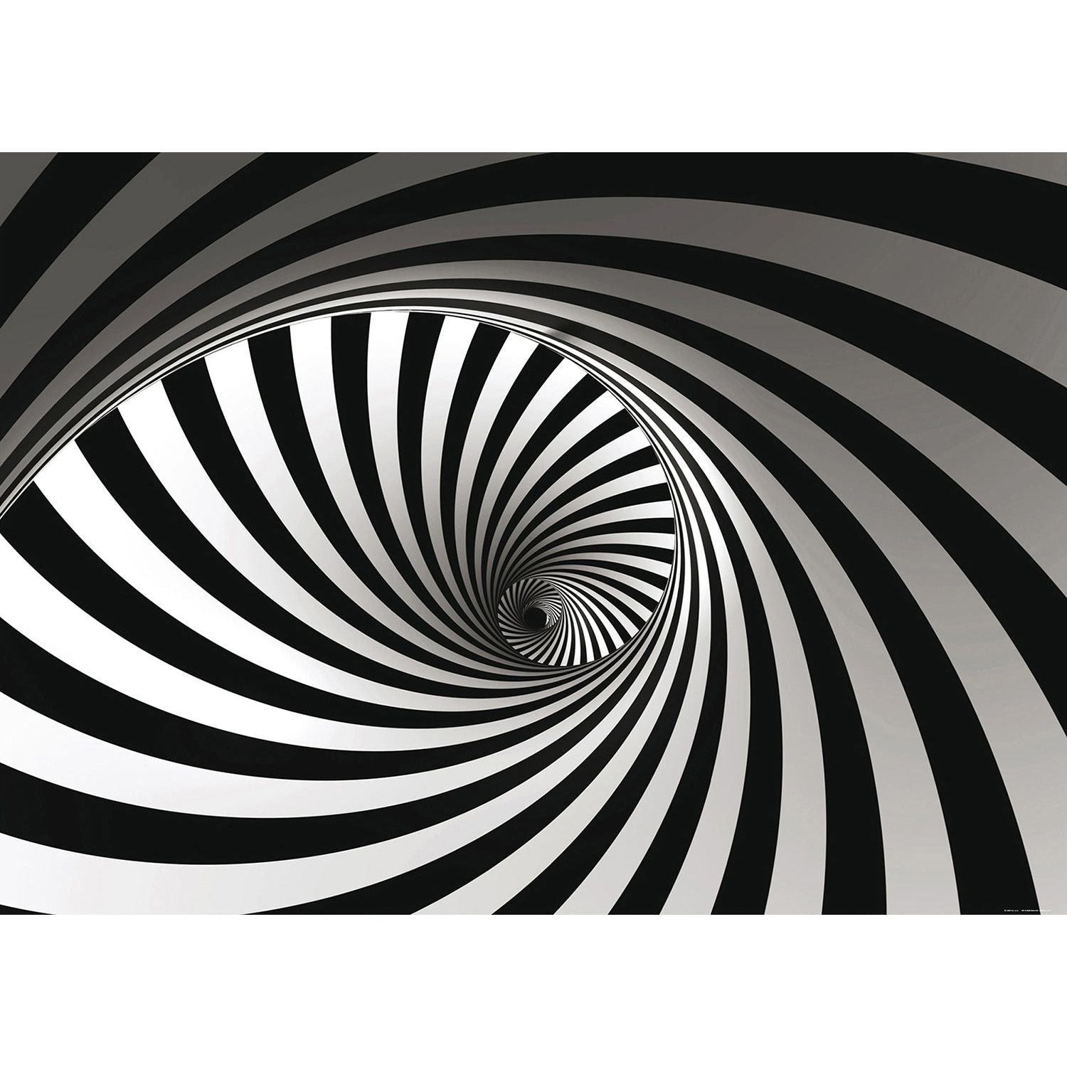Enigmatic Elegance: Black & White Spiral Wall Mural