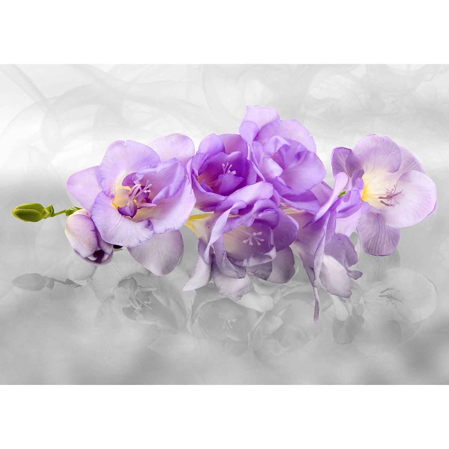 Serene Florals: Purple Bloom Wall Mural