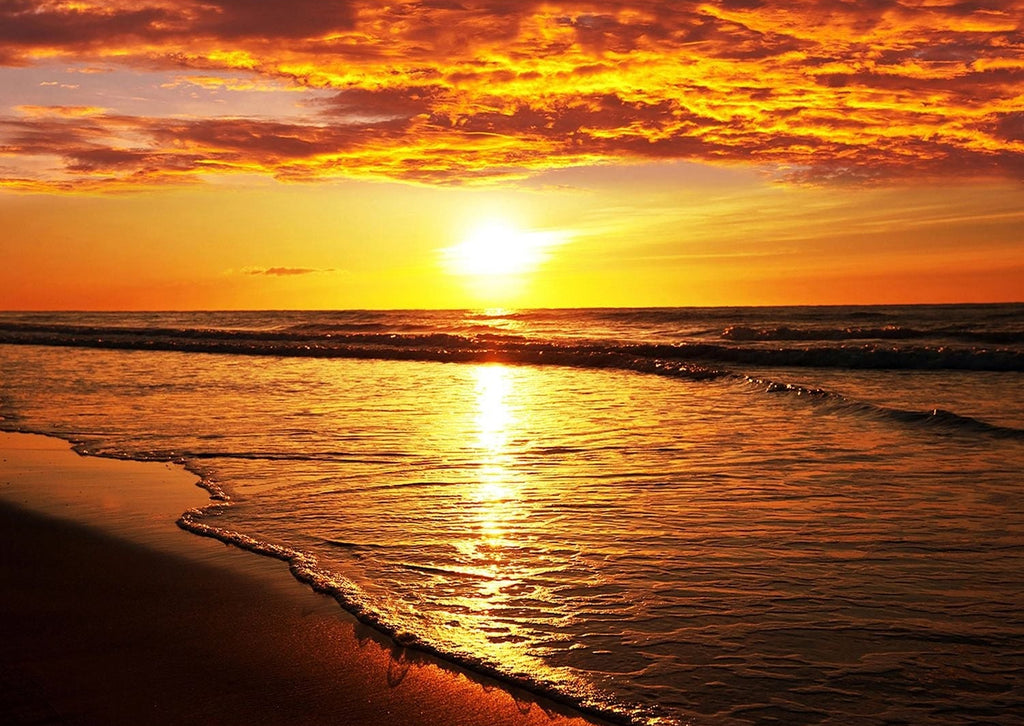 Sundown Splendor: Oceanic Sunset Wall Mural