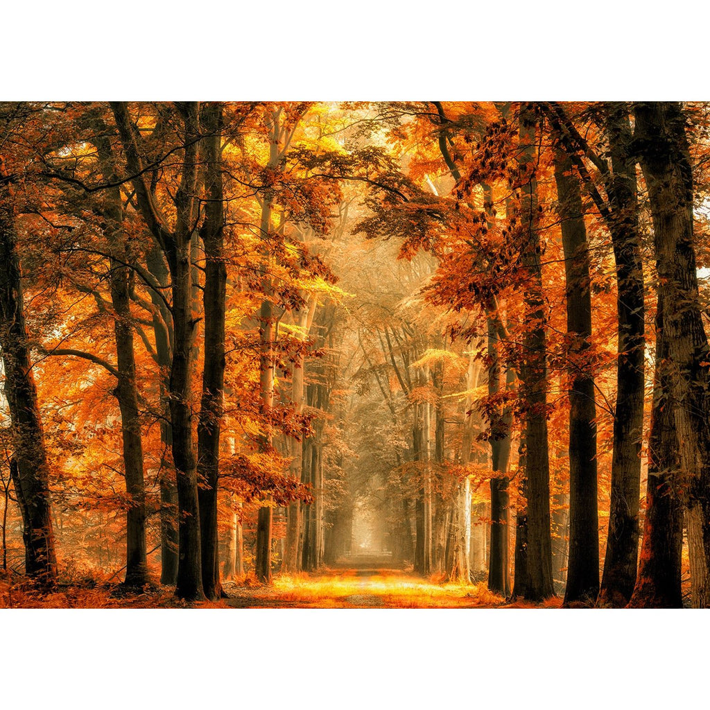 Golden Twilight: A Fall Journey Through Nature's Wall Mural