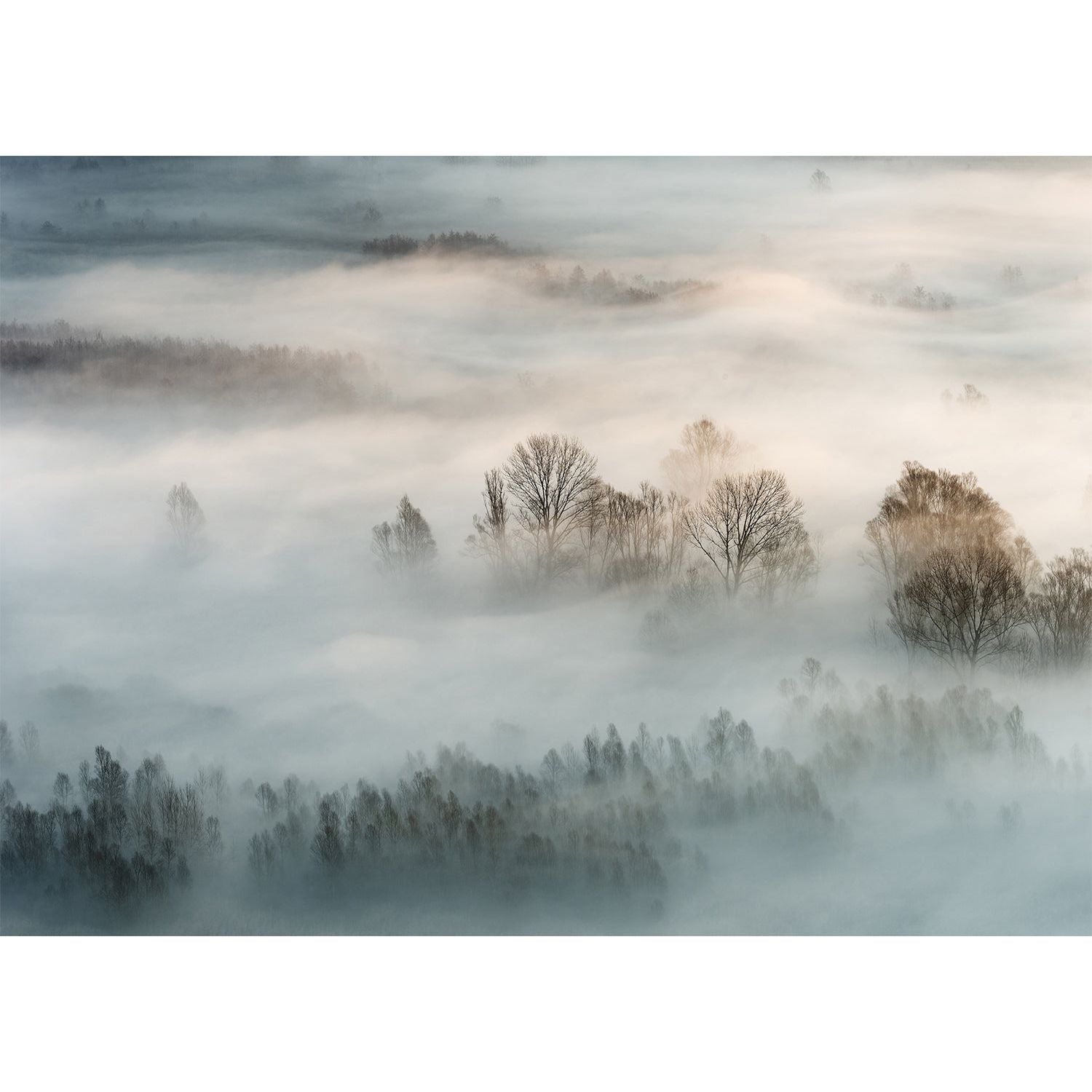 Mystical Mist Wall Mural: Fog Over Mountains and Forest