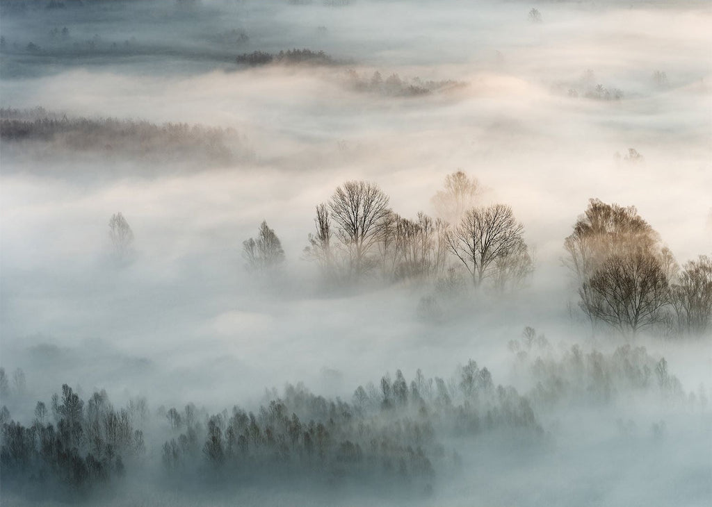 Mystical Mist Wall Mural: Fog Over Mountains and Forest