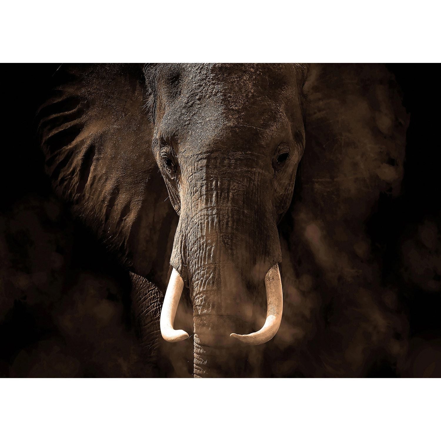 Essence of the Elephant Wall Mural