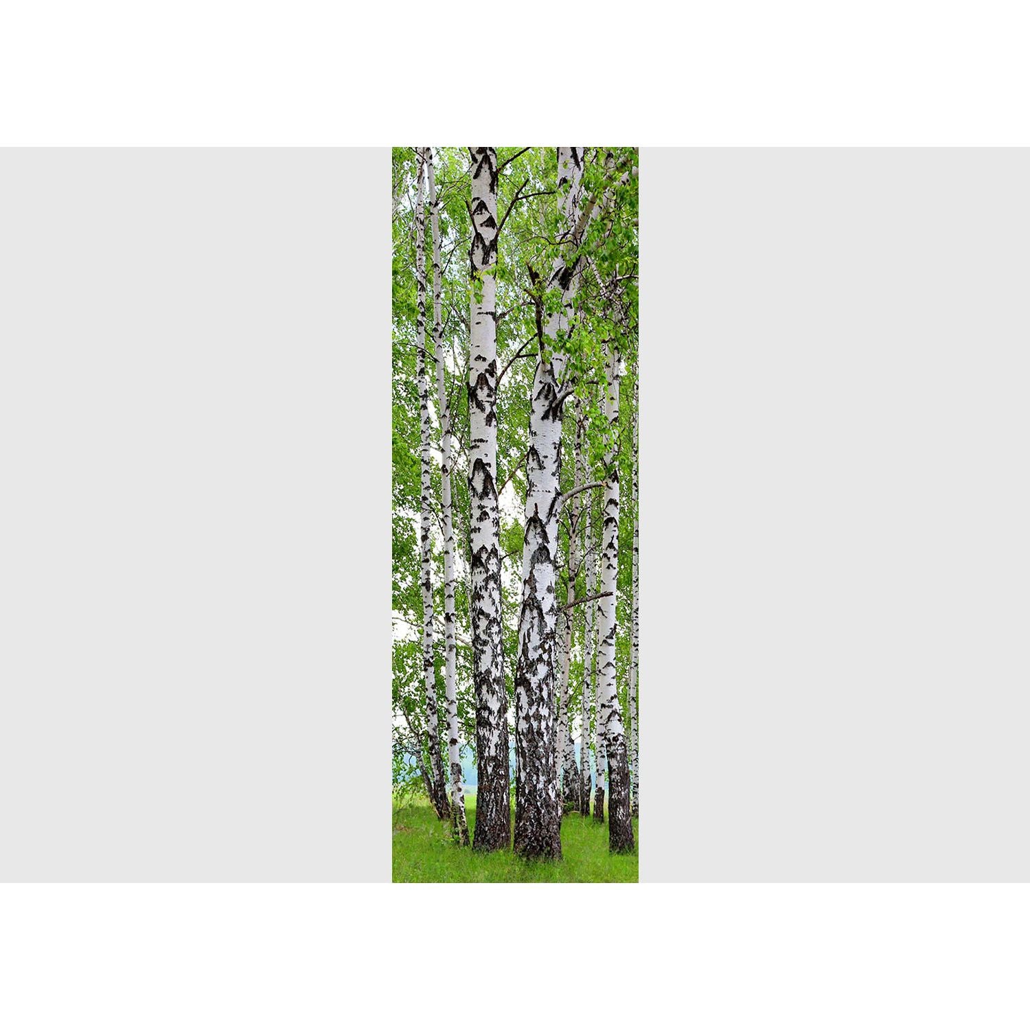 Verdant Canopy: Forest Trees, Green Leaves, and Grass Wall Mural